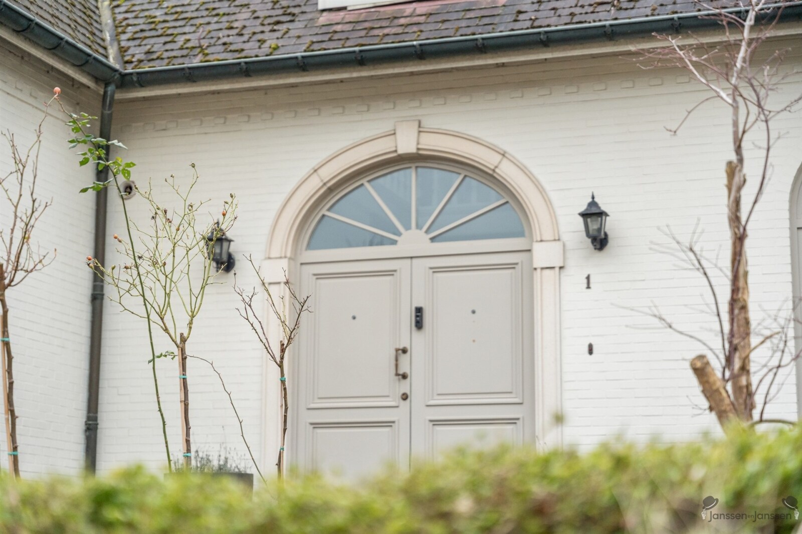 detail
